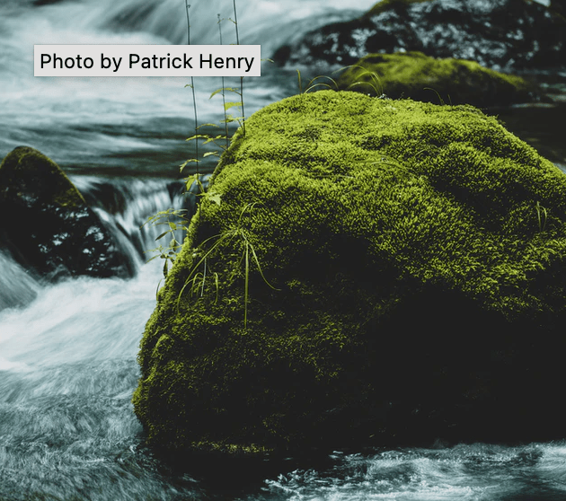 Native tooltip example showing it displayed on a picture of mossy rocks in a stream