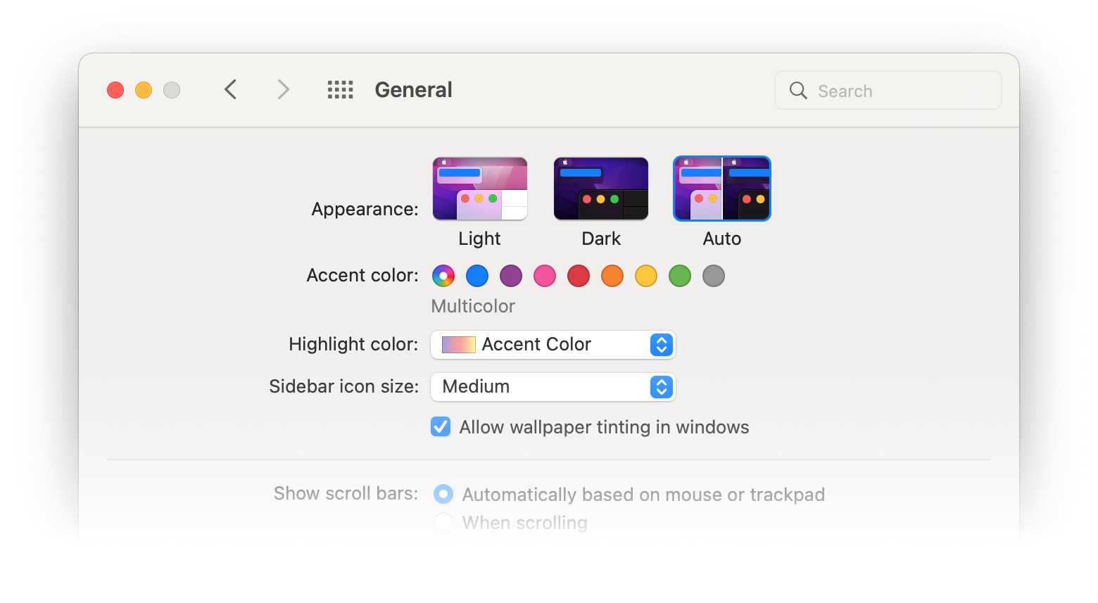 MacOS general settings window