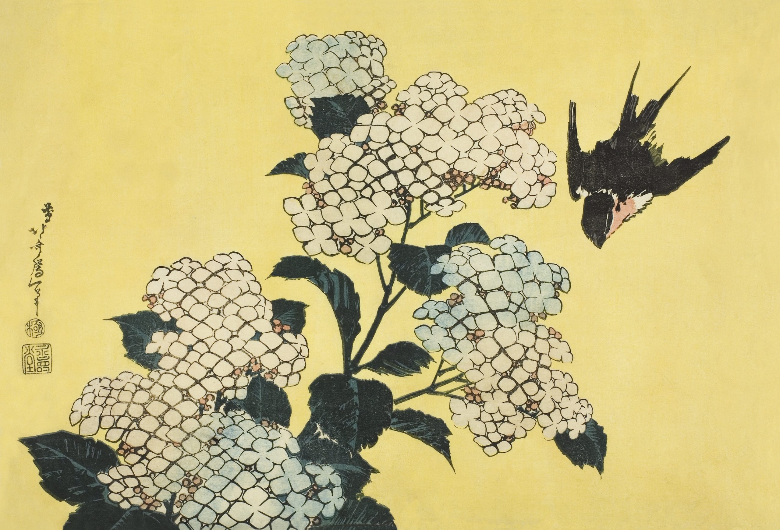 Hydrangea and Swallow, from an untitled series of large flowers (1833/34) color woodblock print in high resolution by the famous Katsushika Hokusai. Original from Art Institute Chicago. Digital enhanced by rawpixel.