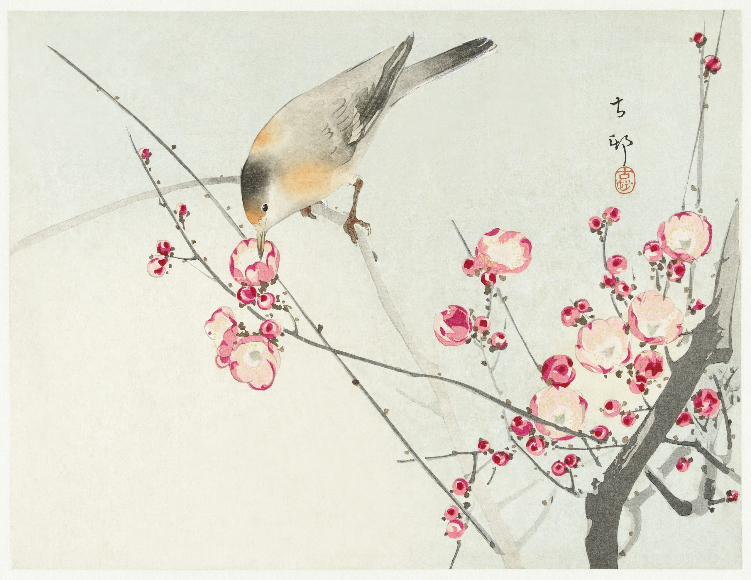 Songbird on blossom branch (1900 - 1936) by Ohara Koson (1877-1945). Original from The Rijksmuseum. Digitally enhanced by rawpixel.