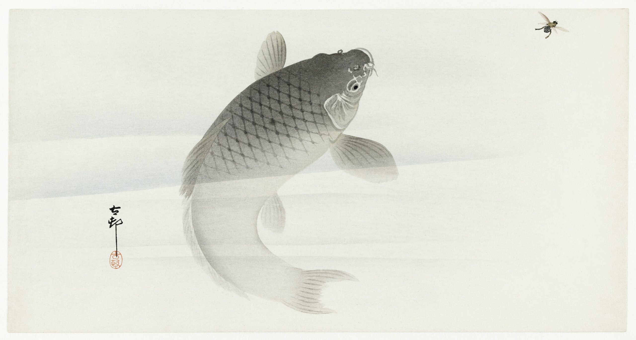 Carp and fly (1900 - 1930) by Ohara Koson (1877-1945). Original from The Rijksmuseum. Digitally enhanced by rawpixel.