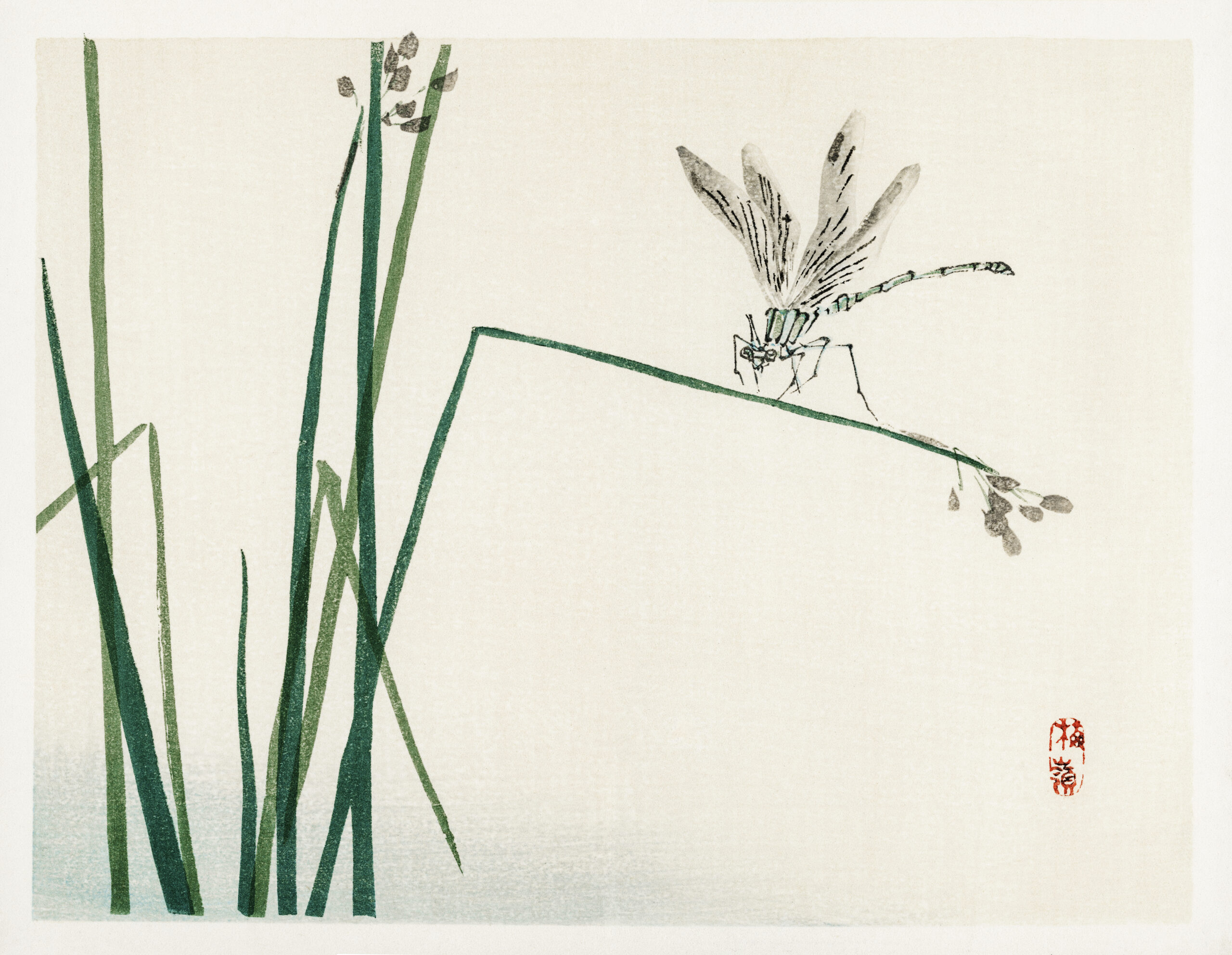 Dragonfly on Bulrush leaf by Kōno Bairei (1844-1895). Digitally enhanced from our own original 1913 edition of Bairei Gakan.