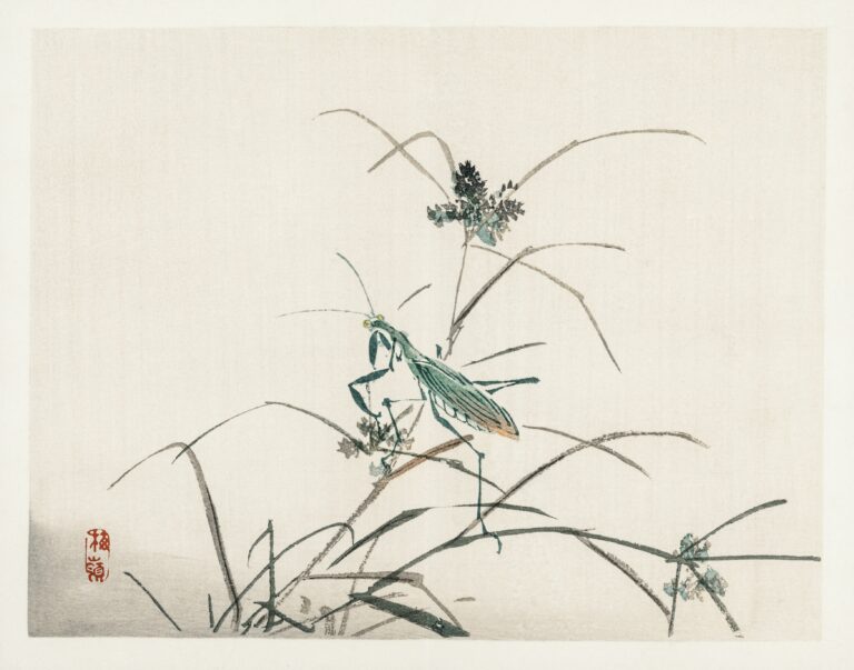 Grasshopper by Kōno Bairei (1844-1895). Digitally enhanced from our own original 1913 edition of Barei Gakan.