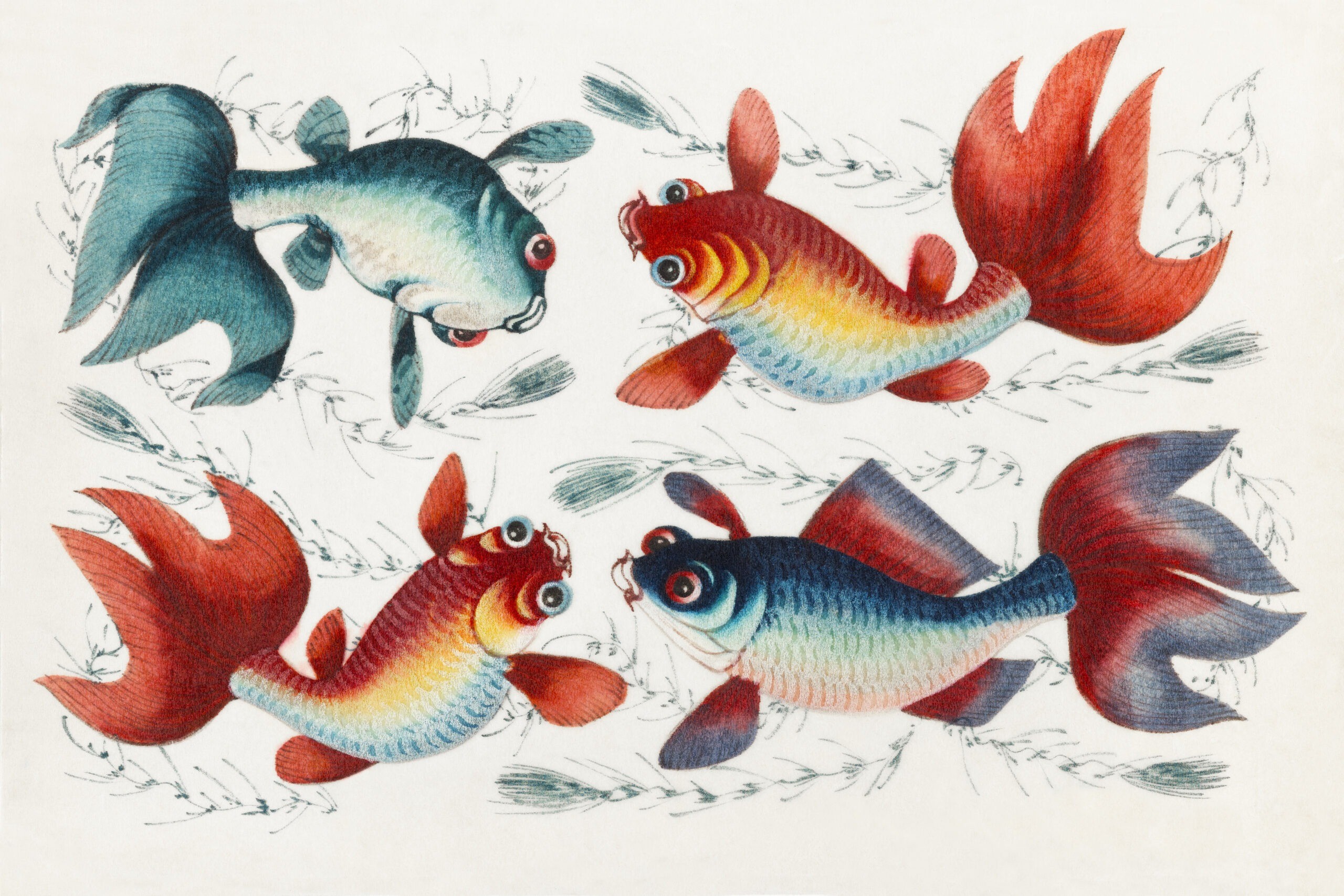 Chinese painting featuring two gold and two silver fish (ca.1800–1899) from the Miriam and Ira D. Wallach Division of Art, Prints and Photographs: Art & Architecture Collection. Original from the New York Public Library. Digitally enhanced by rawpixel.